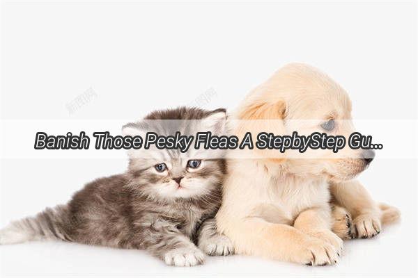 Banish Those Pesky Fleas A StepbyStep Guide to Using Dog Flea Treatment Effectively